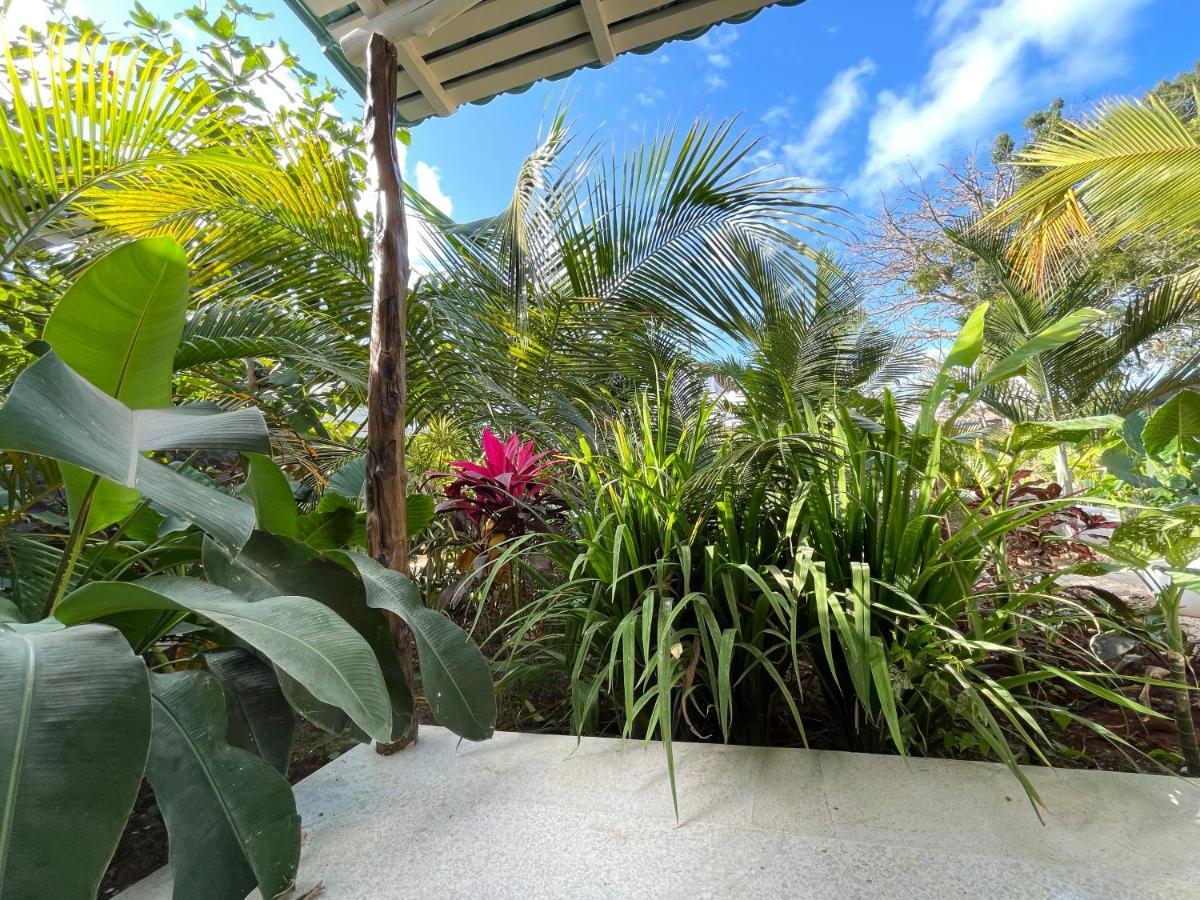 Gaia Villas Nungwi Buitenkant foto