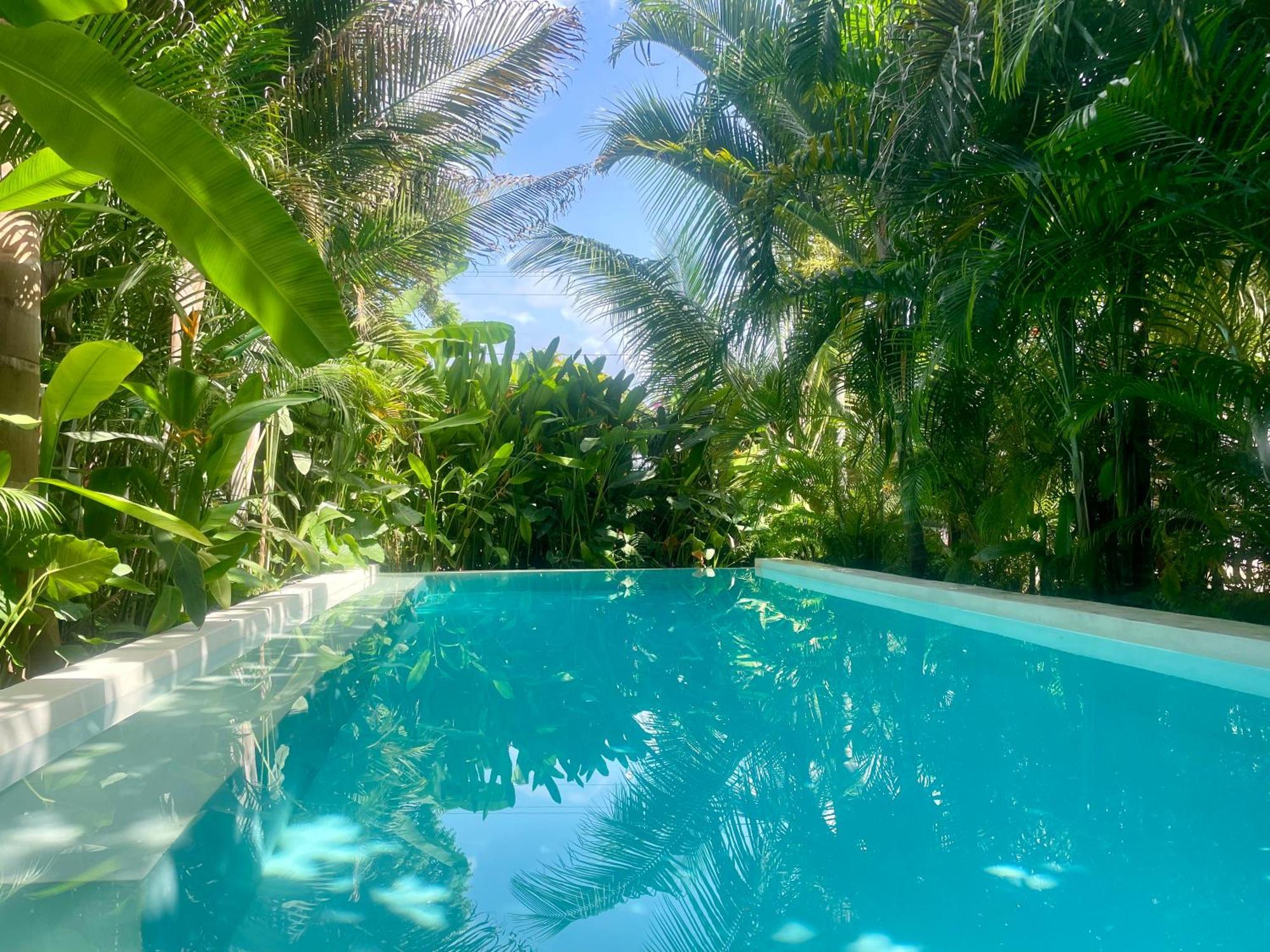 Gaia Villas Nungwi Buitenkant foto