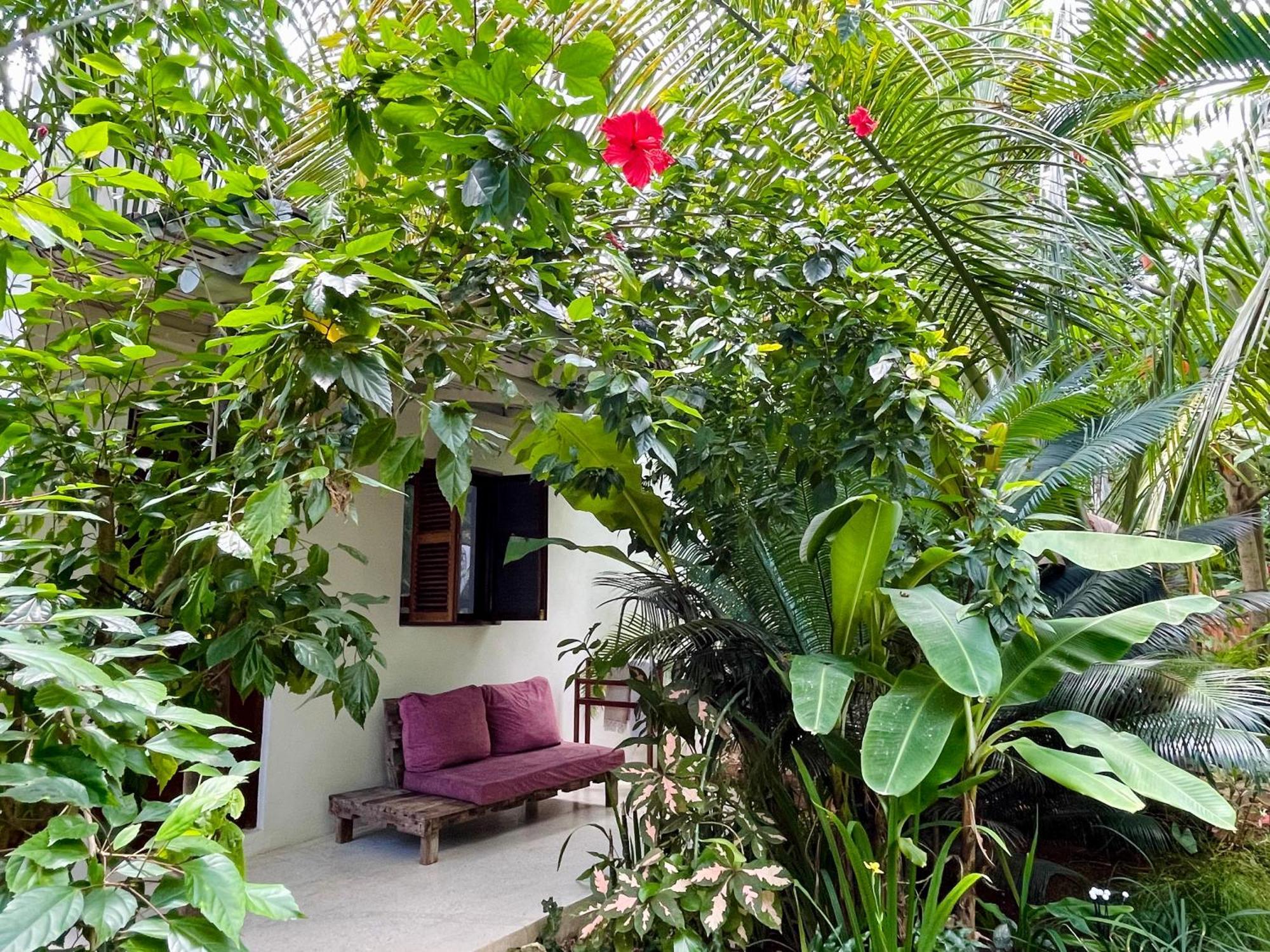 Gaia Villas Nungwi Buitenkant foto