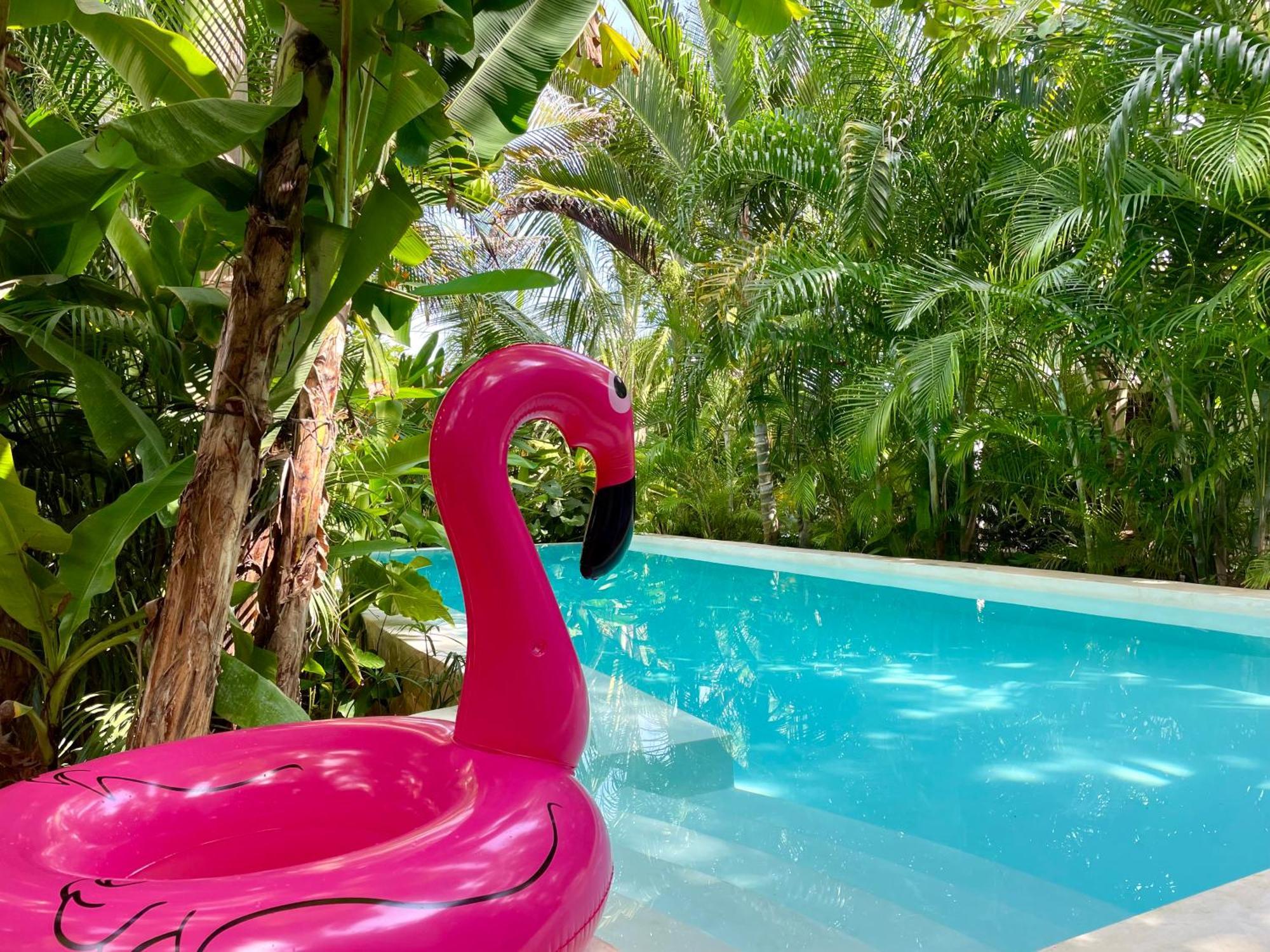 Gaia Villas Nungwi Buitenkant foto